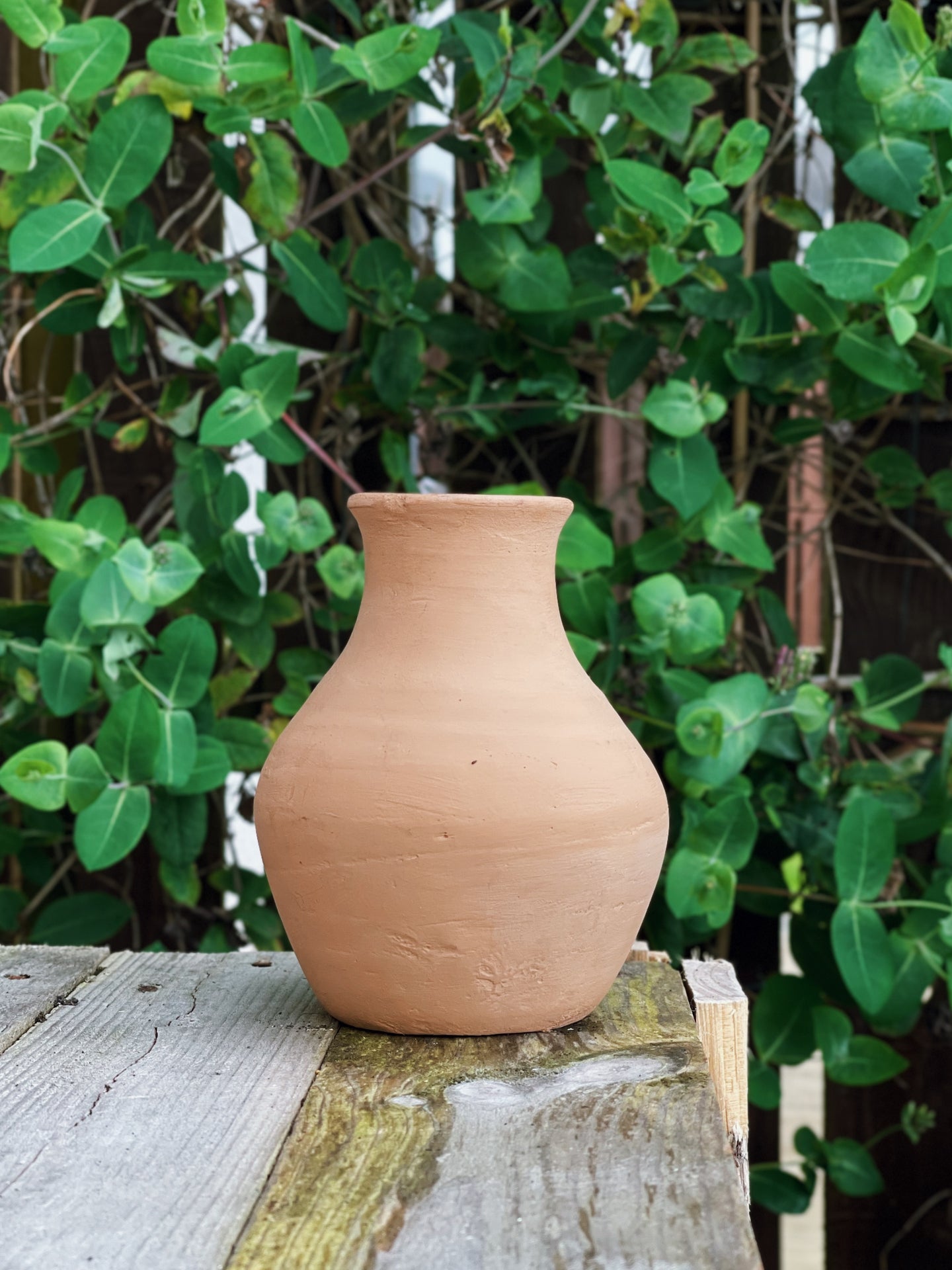 Terracotta pot